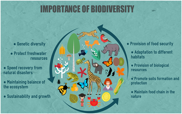 Priorities Biodiversity to Prevent the Next Pandemic