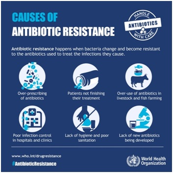 Global burden of bacterial antimicrobial resistance in 2019 (GRAM) - GS ...