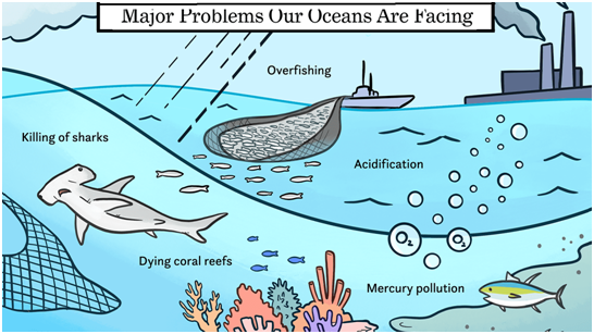 In Deep Waters: Current Threats to the Marine Ecology