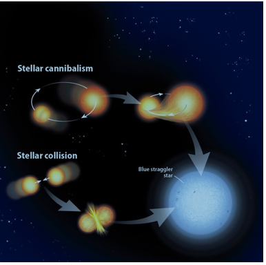 Blue Straggler stars - GS SCORE