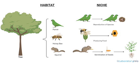 Ecological Niche Modelling - GS SCORE