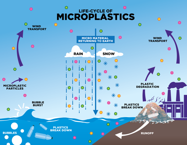 Microplastics discovered in fresh Antarctic snow for first time - GS SCORE