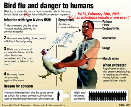 U.S. Reports Its First Human Case Of H5 Bird Flu - GS SCORE