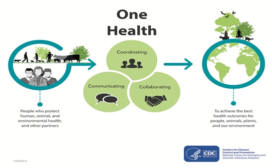 One Health Approach to tackle the crisis caused by the Pandemic - GS SCORE