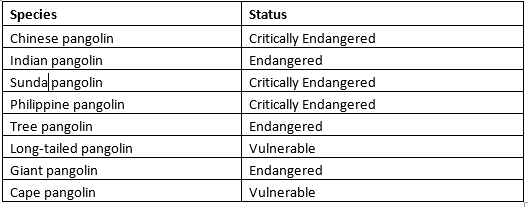 China removes Pangolin scales from the list of ‘approved ingredients ...