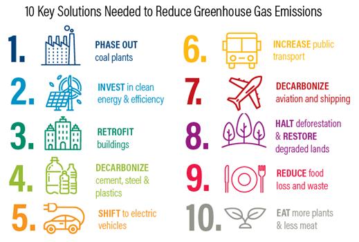 Net zero, Carbon neutral, Carbon negative, Carbon positive - The ...