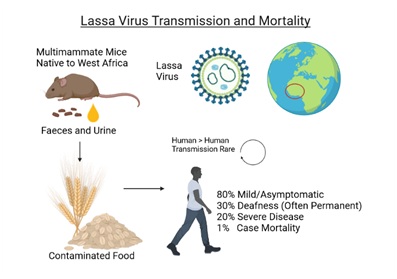 Lassa Fever: Symptoms of Ebola-like Virus as first UK Death Confirmed ...