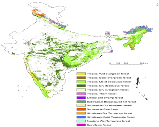 ‘Harnessing the Power of India’s Forests for Climate Change Mitigation ...