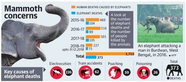 Assessing the environmental and ecological concerns of Man - Animal ...