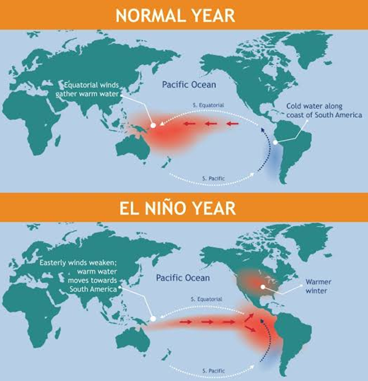 El Niño is coming - GS SCORE