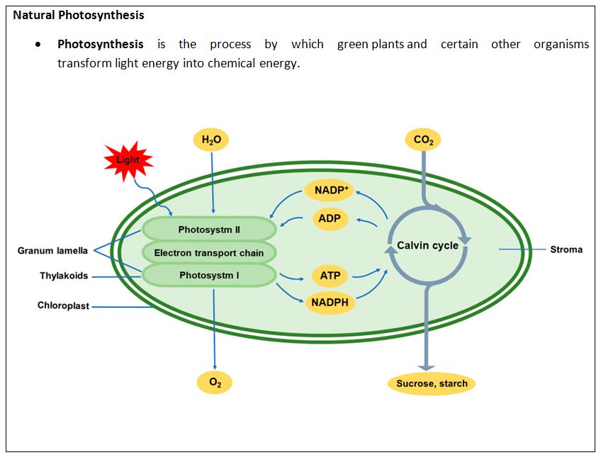 Artificial photosynthesis to provide solutions for carbon capture and ...