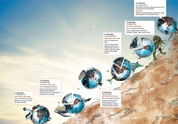 6th Mass Extinction Underway Courtesy Humans Gs Score