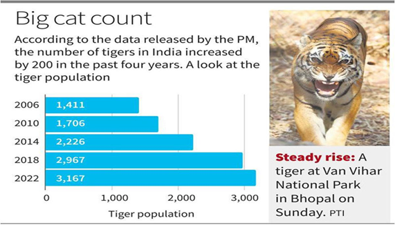 Tiger Census 2022 (Specials) - GS SCORE