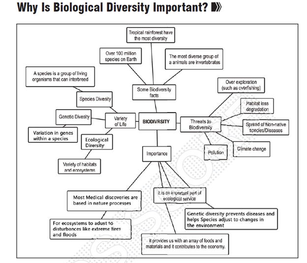 ‘how To Reverse Global Wildlife Declines By 2050 Gs Score